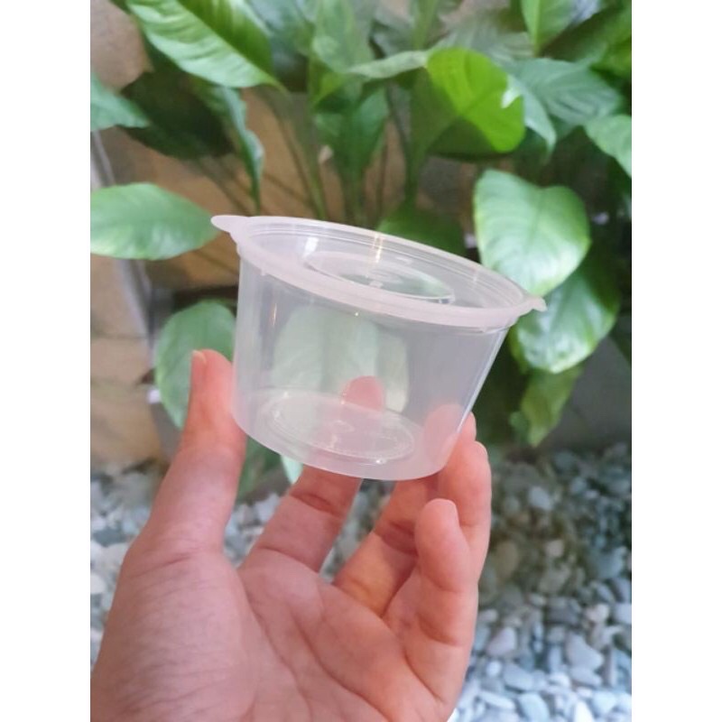 [50 pcs] Thinwall Cup Puding100ml / Cup Puding 100ml Isi 50pcs