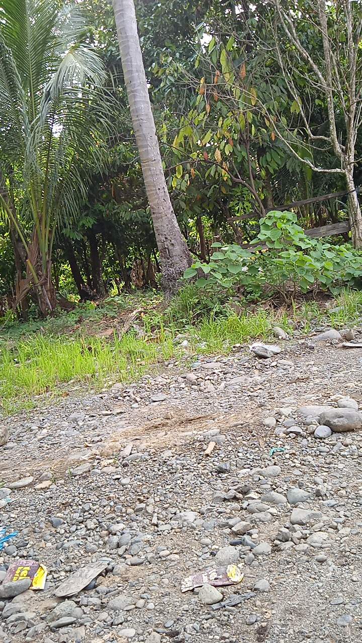 Rak Gantung 5 In 1 Tas Sepatu Kosmetik Jilbab Multi