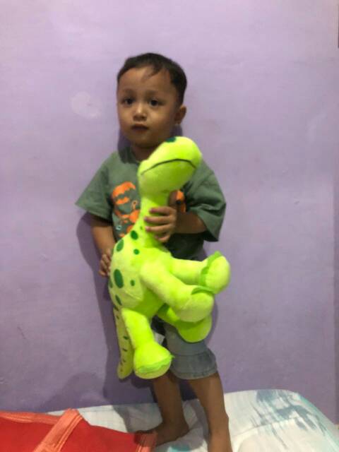 Boneka arlo dino 30cm boneka hewan animal dinosaurus laki kado