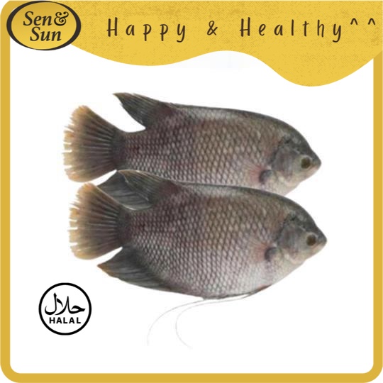 

Sen&Sun Ikan Gurame WGGS 600 gr