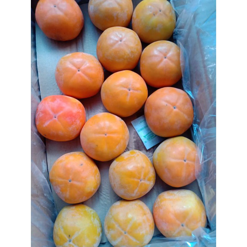 

buah kesemek korea