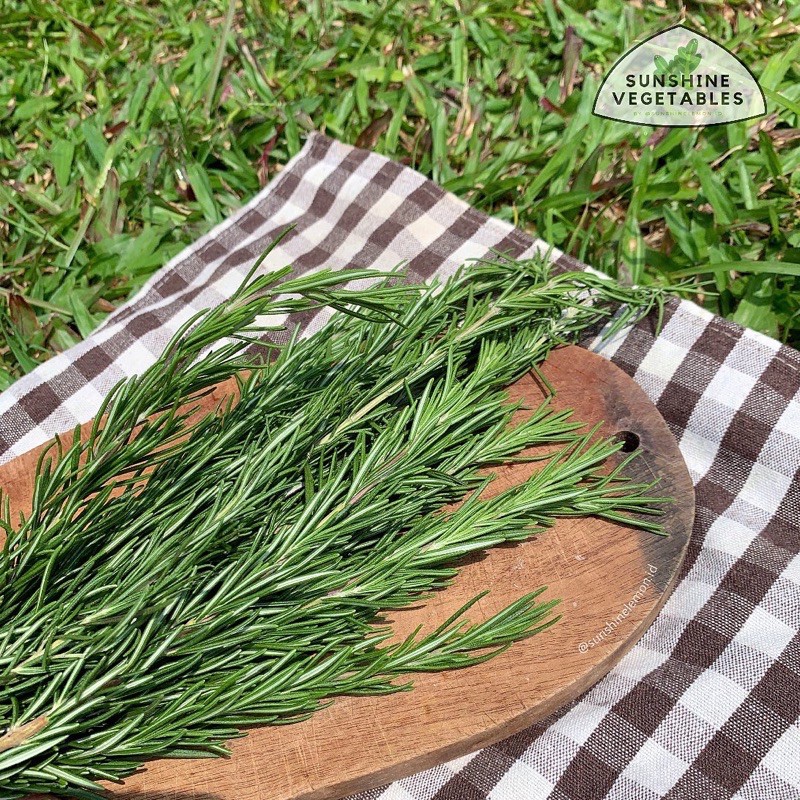 

ROSEMARY [100gr] / ROSEMARI by Sunshine Vegetables