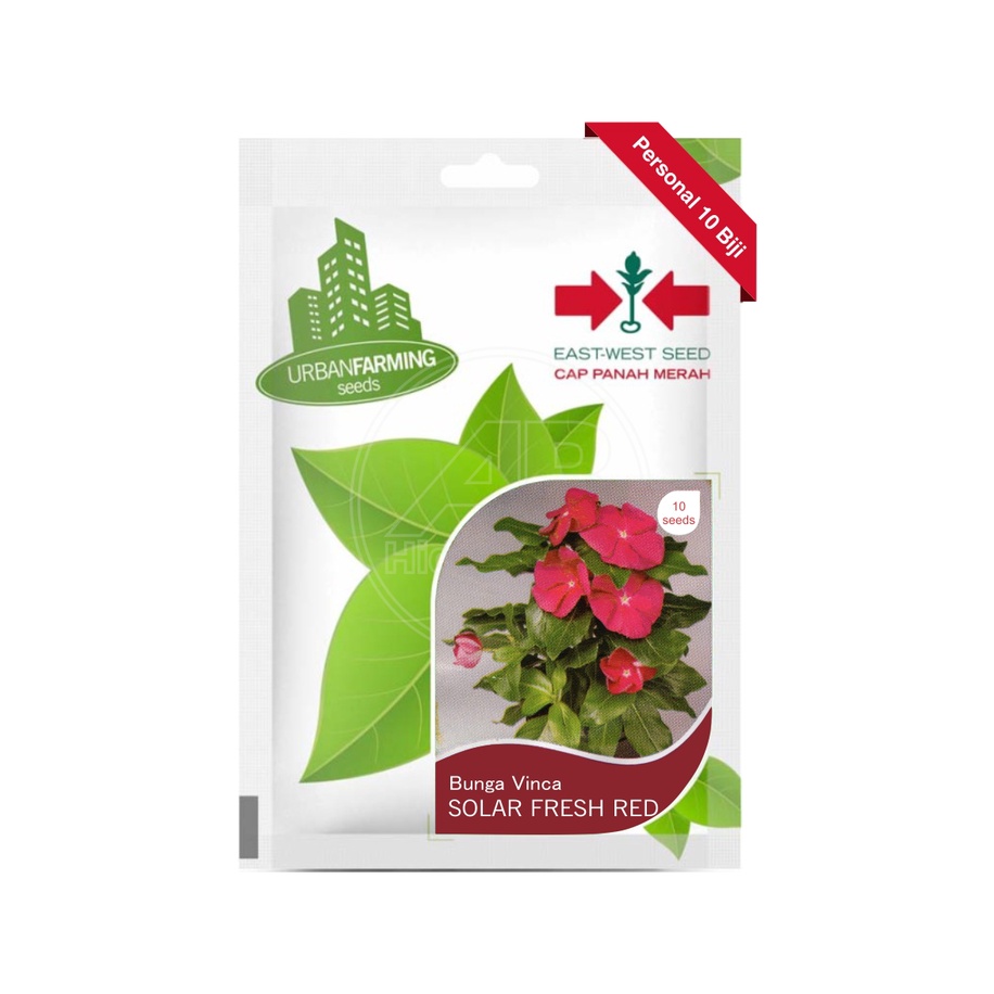 Benih Bunga Vinca Fresh Red / Tapak Dara Cap Panah Merah 10 Butir
