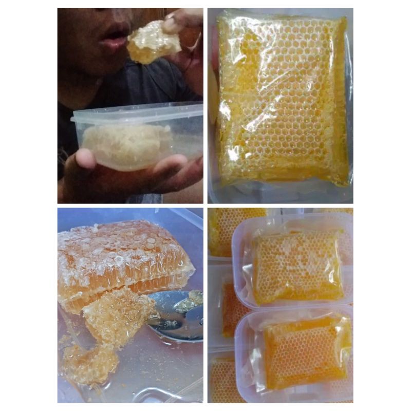 

Madu sarang honey comb 500 gr