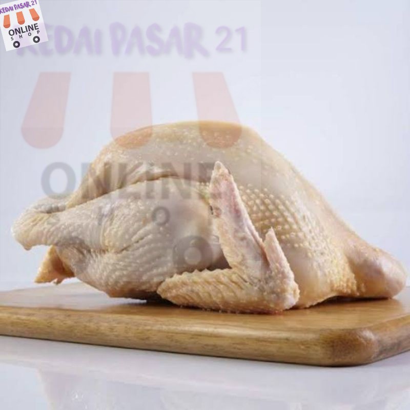 

Kedai pasar21 Grosir Ayam Kampung Segar Murah