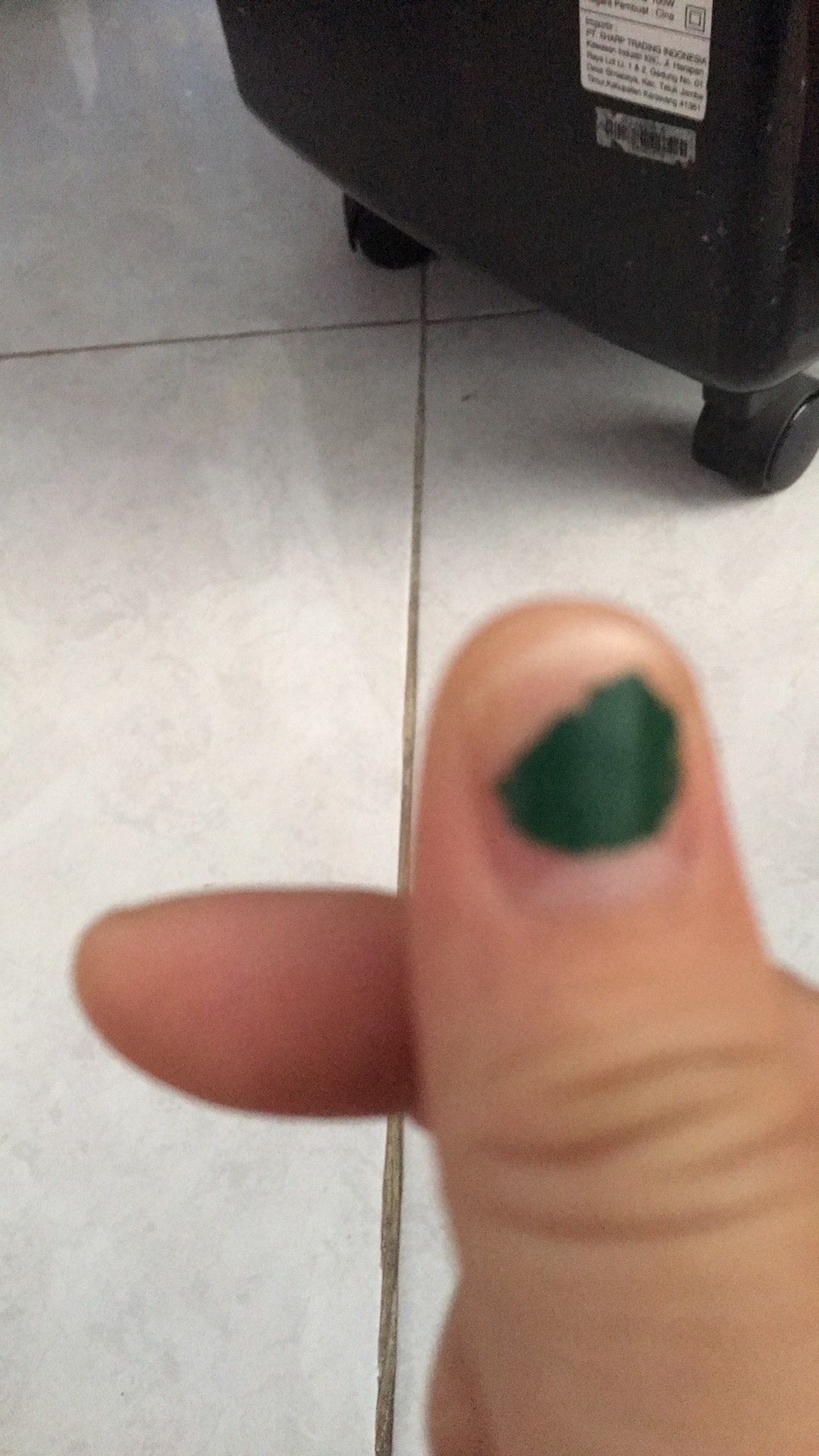 Spons Mandi / Bath Sponge Fruit Series