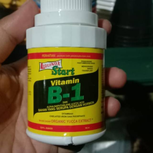 Vitamin B1 Tanaman