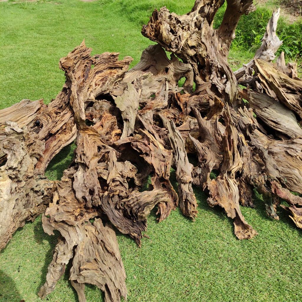 Kayu Rentek Aquascape/Paludarium/CastaWood