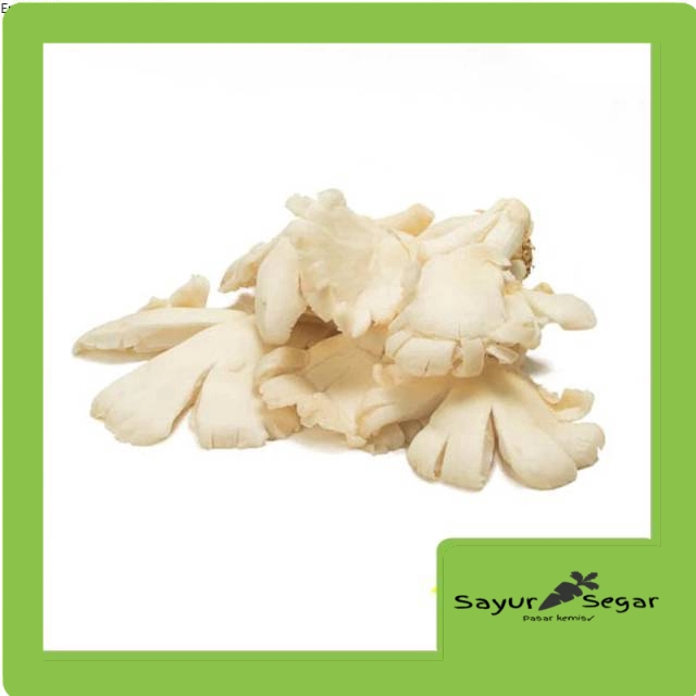 

Jamur Tiram [250 gr]