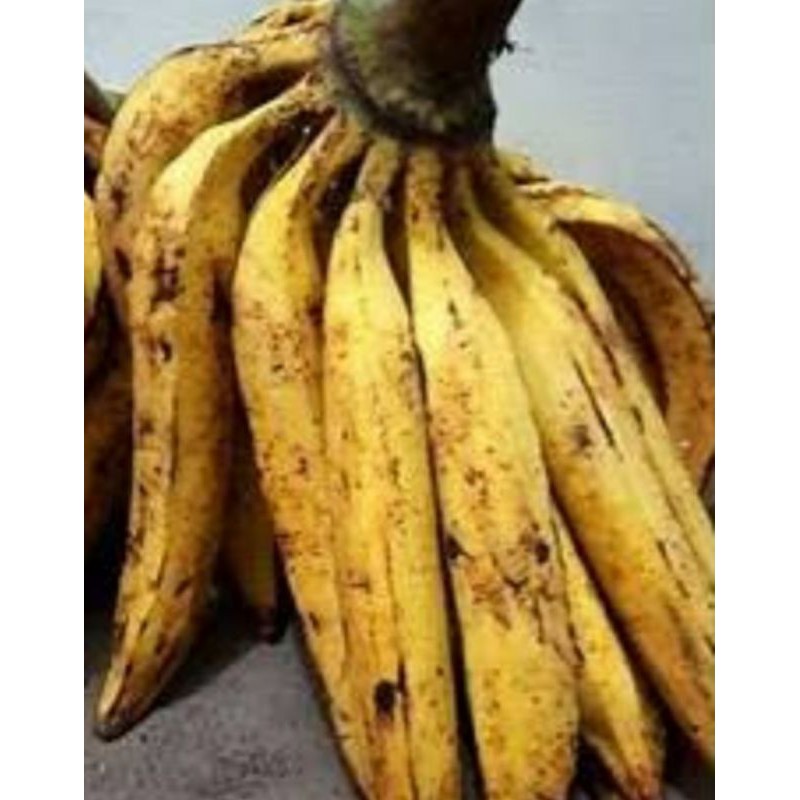 

PISANG TANDUNG ENAK RASANYA/1,BIJI