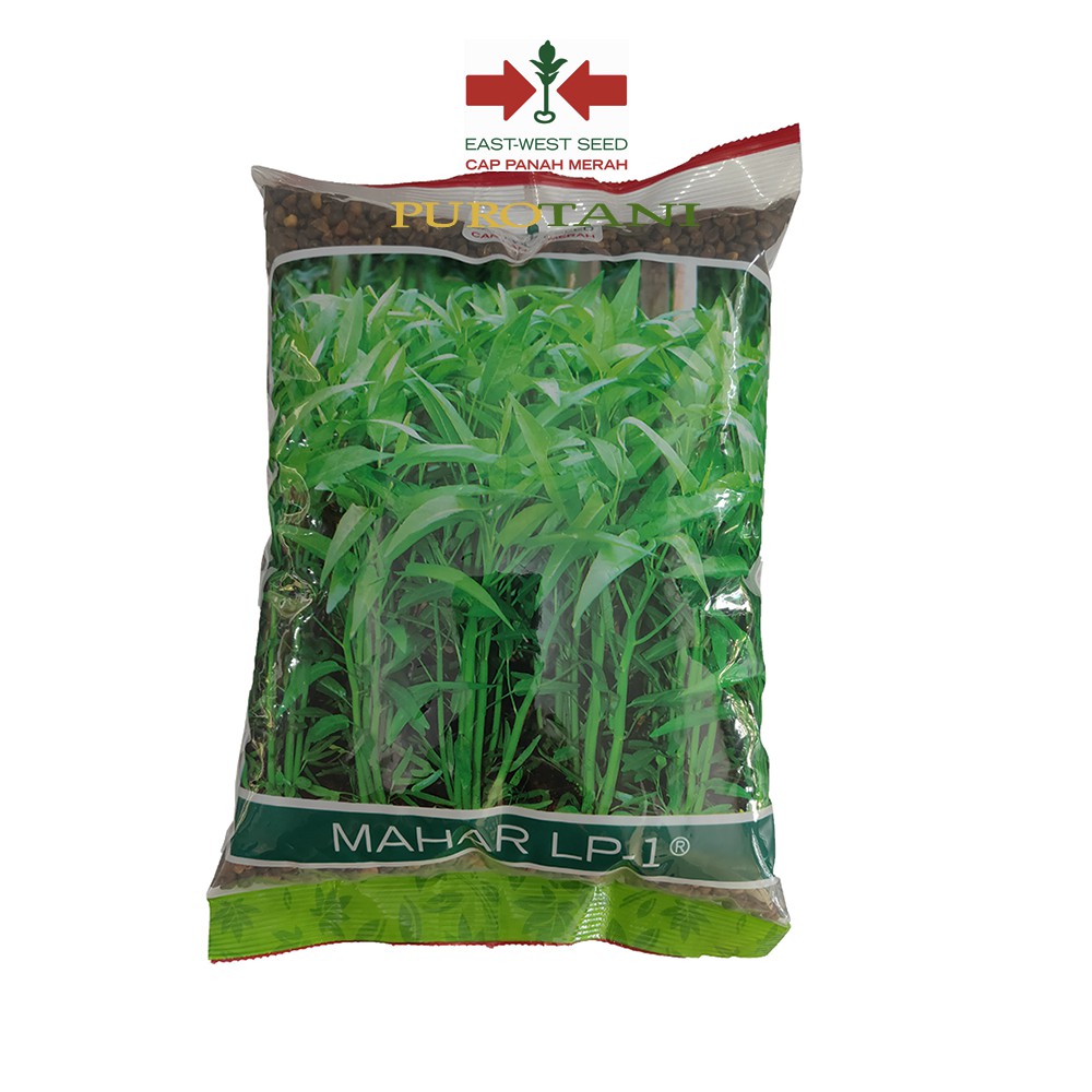 Benih Kangkung Mahar LP-1 1KG panah merah