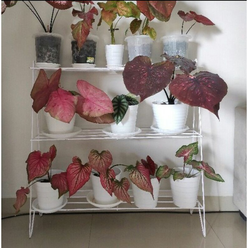 Rak tanaman besi/rak sepatu/standing rak tanaman 3 susun/rak besi serba guna/ready bisa cod