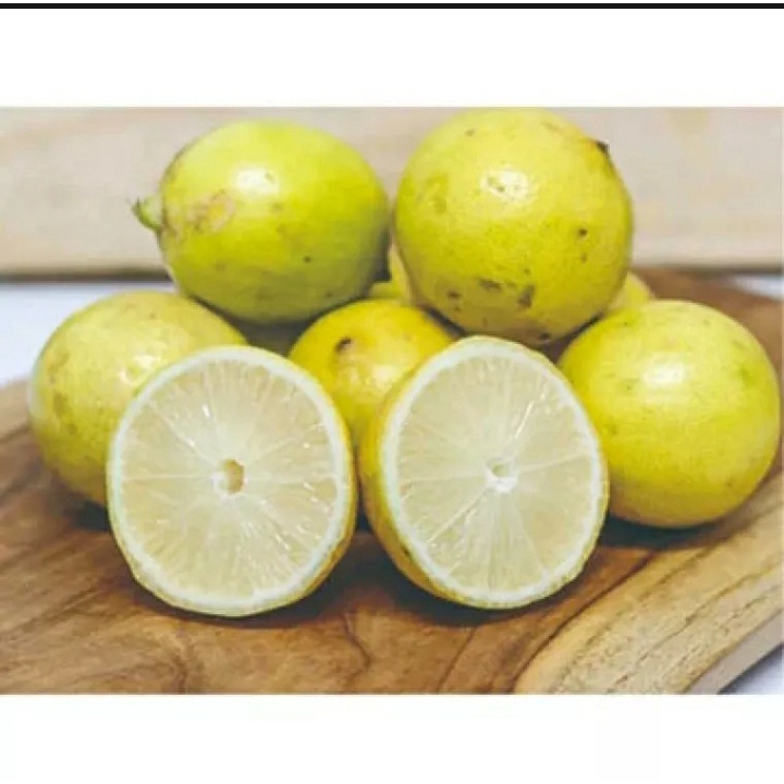 

jeruk lemon murah berkwalitas segar bumbu dapur jeruk asli
