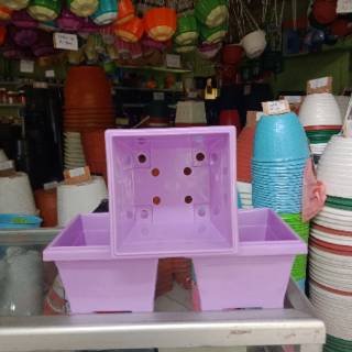  Pot  Bunga  Segi GBL Hias 20 warna  ungu  Shopee Indonesia