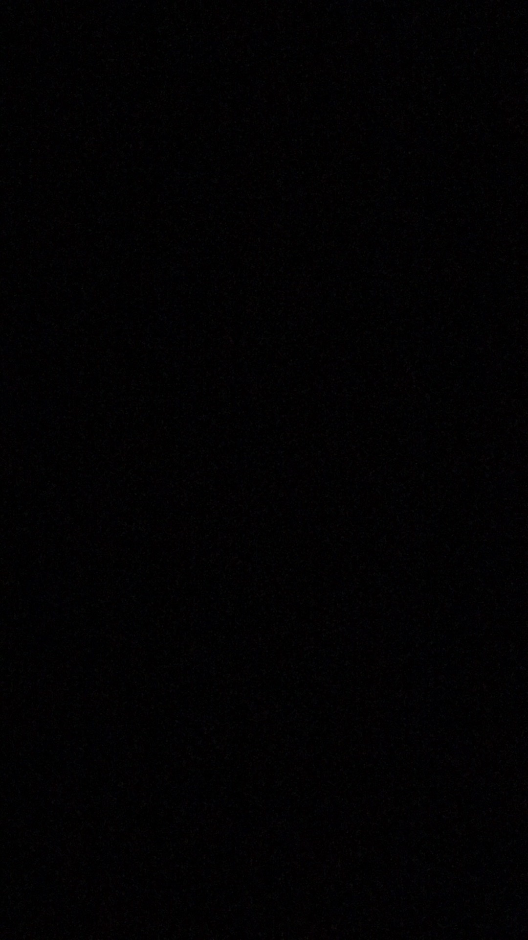 Tanaman Peperomia Semangka