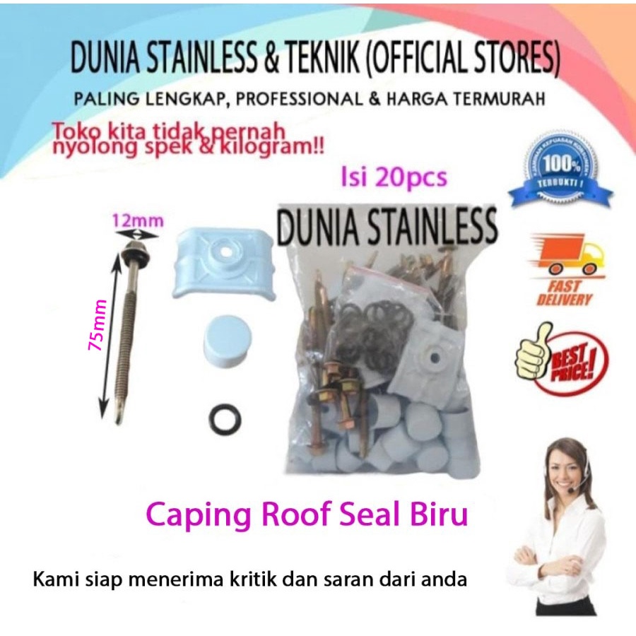 Baut Caping Roof Seal Blue Atap Ecoroof Alderon UPVC per20pcs
