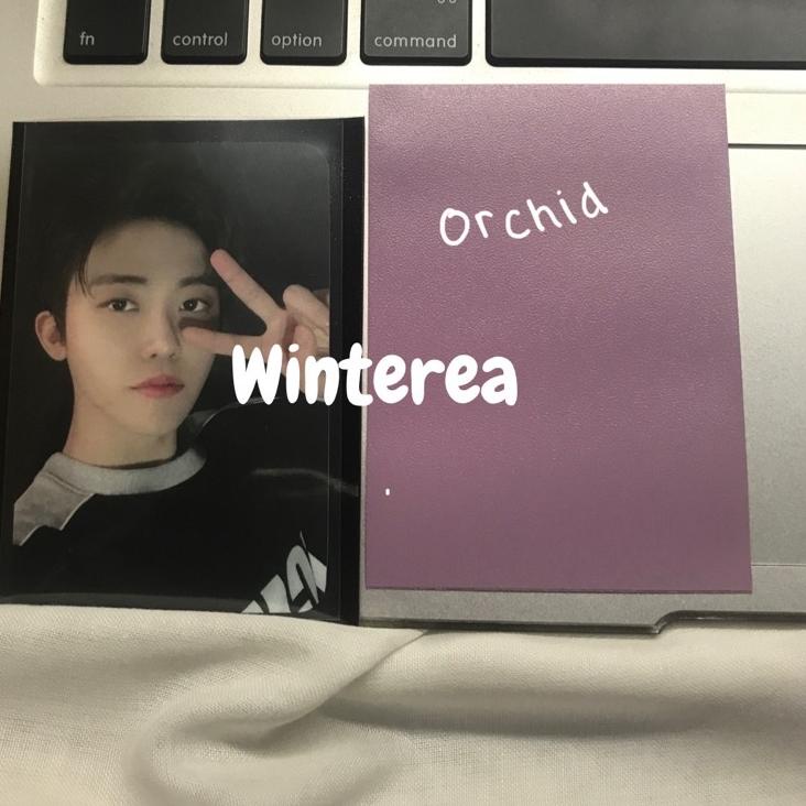 [PRODUK 8SLRK] inner sleeve dragon shield [10 pcs] black / red / clear blue / blue / pearl / ivory G