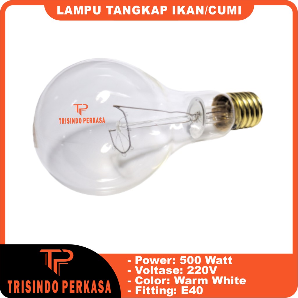 Lampu Tangkap Cumi / ikan Fishing Lamp 500W 220V