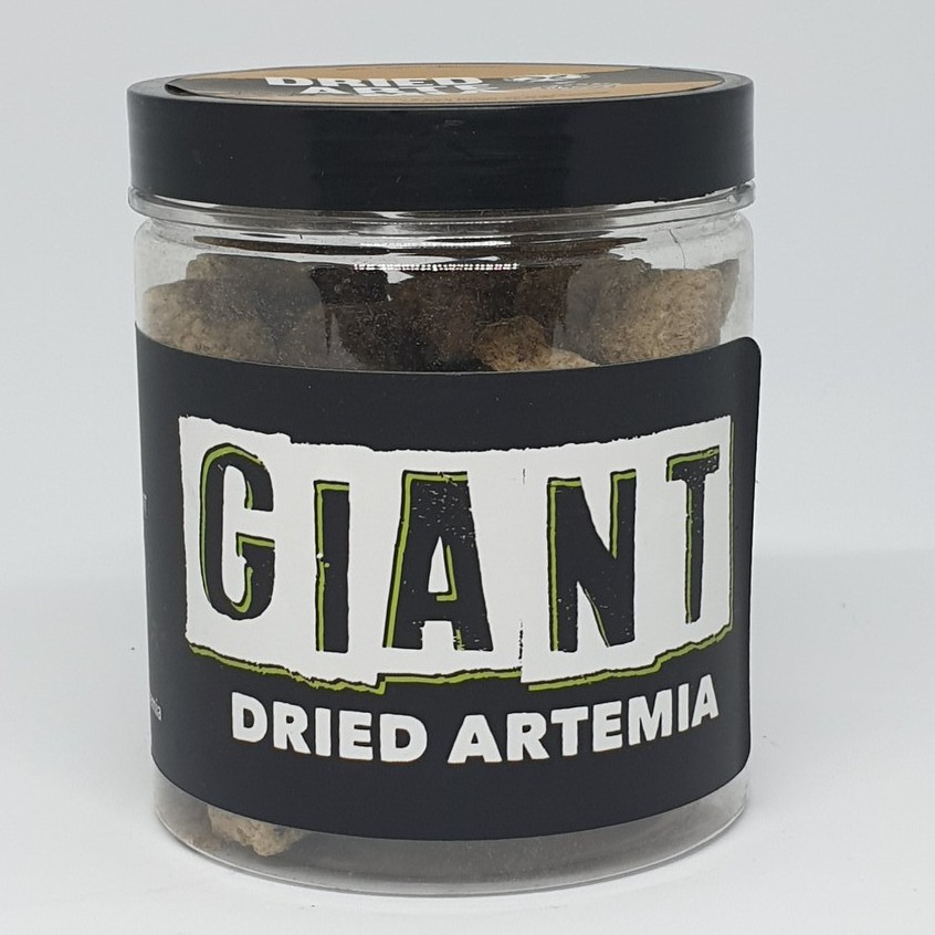 GIANT DRIED ARTEMIA 100% SWASTI FARM X FO 35 g (ARTEMIA DEWASA KERING)