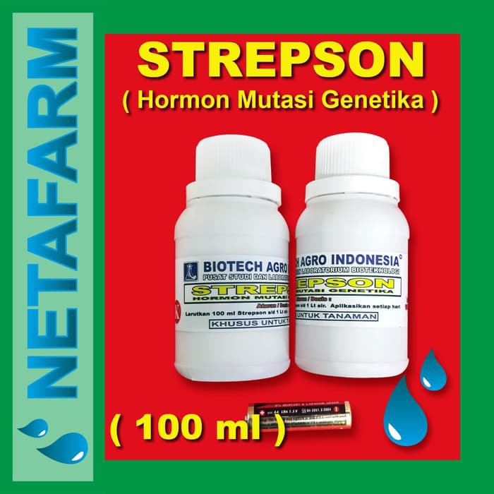 Pupuk Organik Hormon Strepson 100ml dwh1900