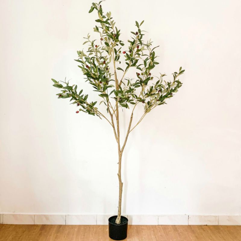 Olive Artificial Tinggi 200cm, Pohon Olive Artificial, Pohon Olive Palsu, Pohon Plastik, Tanaman Pal