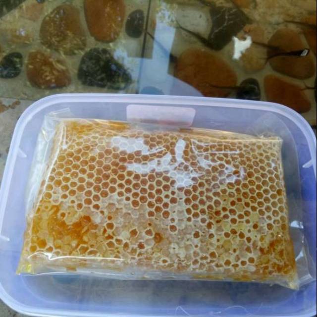 

Madu Sarang Apis Cerana 500gr