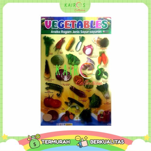 Poster Edukasi Anak Belajar Sayuran Vegetables