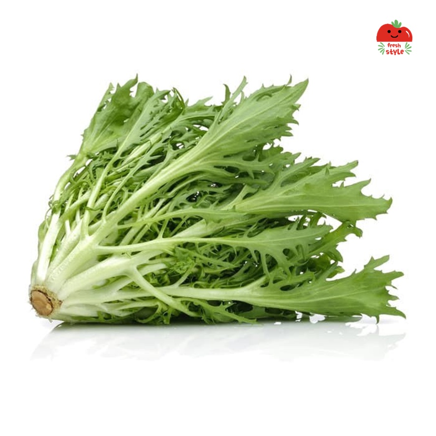 

Endive