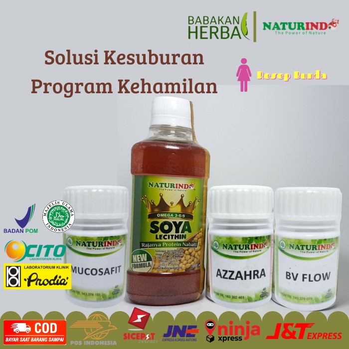 Naturindo Herbal Obat Hamil Cepat Program Kehamilan Resep Bunda