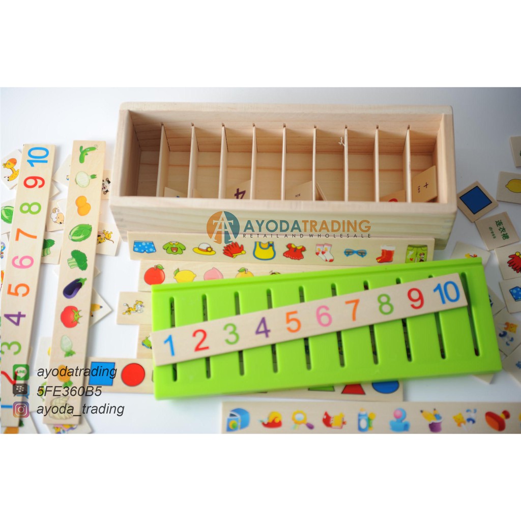 Classification Box Sorting Game mainan edukasi mainan montessori