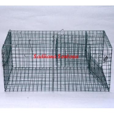 Jebakan Tikus Massal