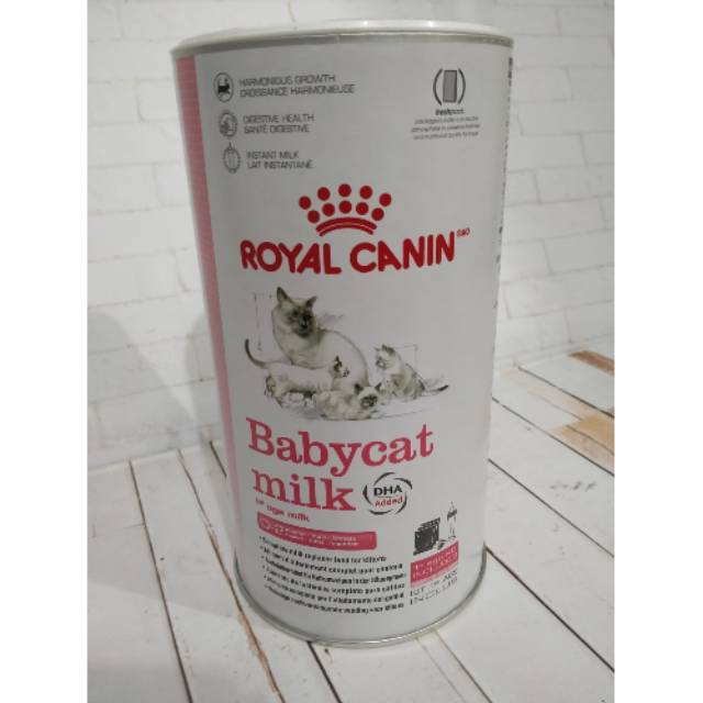 Susu kucing anakan royal canin