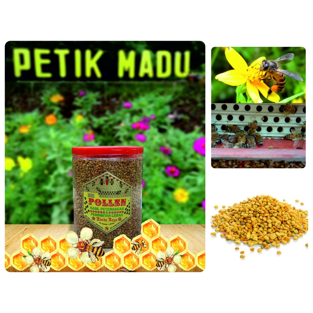 

Bee Pollen Murni Raw / Bee Pollen butiran murni 350gram
