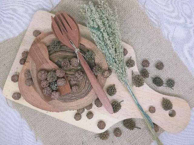 Rumput Bluegrass / Rumput Kering