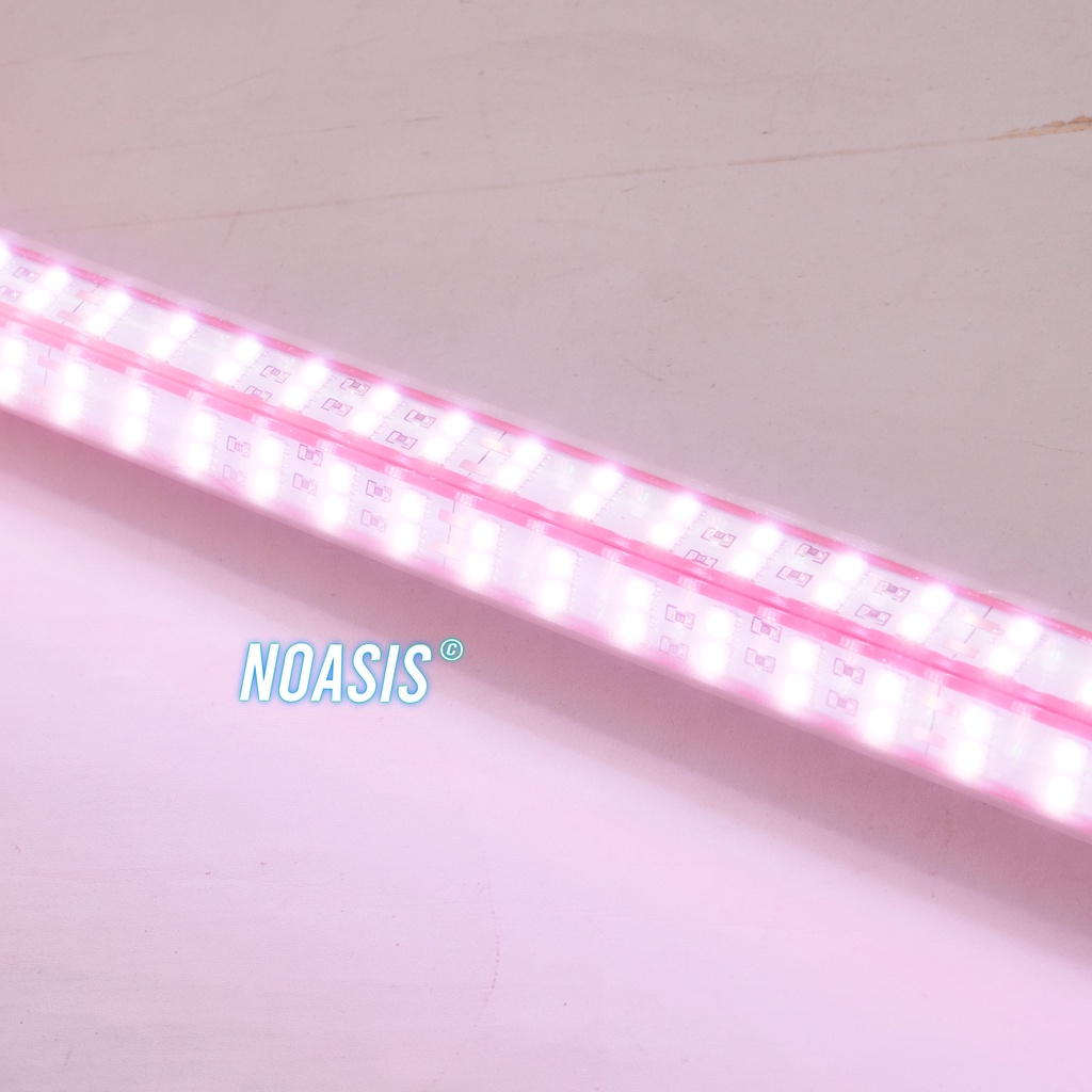 Lampu LED TANNING Arwana 4 D KONTES QUALITY RECENT KTK 58 78 98 118 148 178 SFC Arowana 4 Baris Low watt Hemat Energy