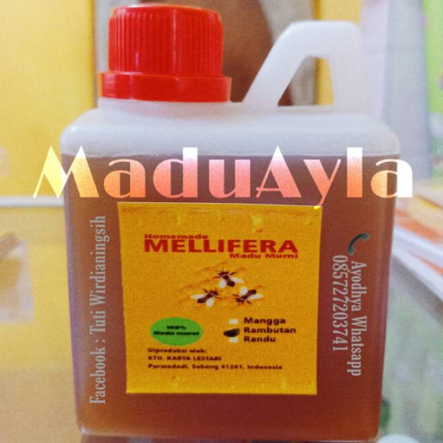 

Madu Murni Asli Lebah Madu Mallifera 500 ml