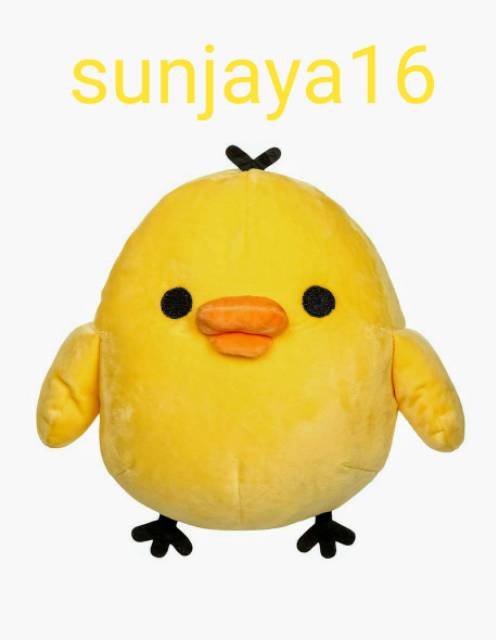 sunjaya16