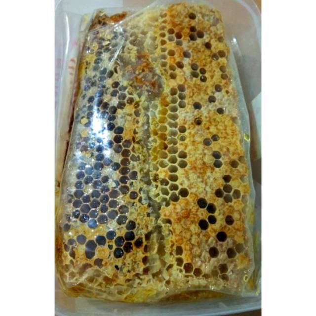 

MADU LARVA MADU SARANG PLUUSS untuk Pengobatan Dan Botok