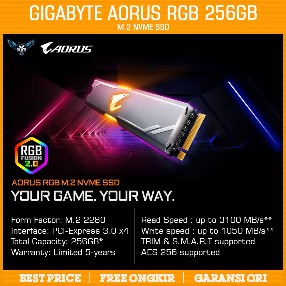 NVMe Gigabyte Aorus RGB 256GB - M.2 2280 SSD 256 GB