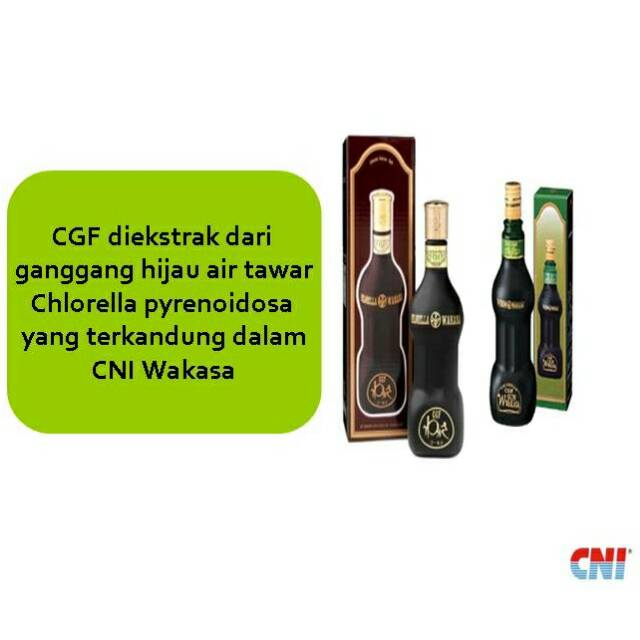 CNI Wakasa Gold (Mini)