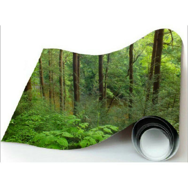

Sticker Camo Natural F2/Sticker Motif Natural 100x50cm