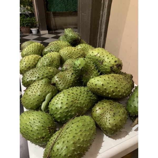 

SIRSAK RATU MANIS ORGANIK (fresh dari ladang sendiri) 2000g
