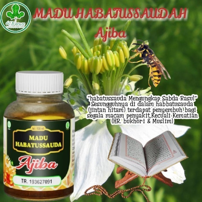 

Madu Habatussauda Obat Herbal Asam Lambung Magh Aman Untuk Dewasa & Anak Anak