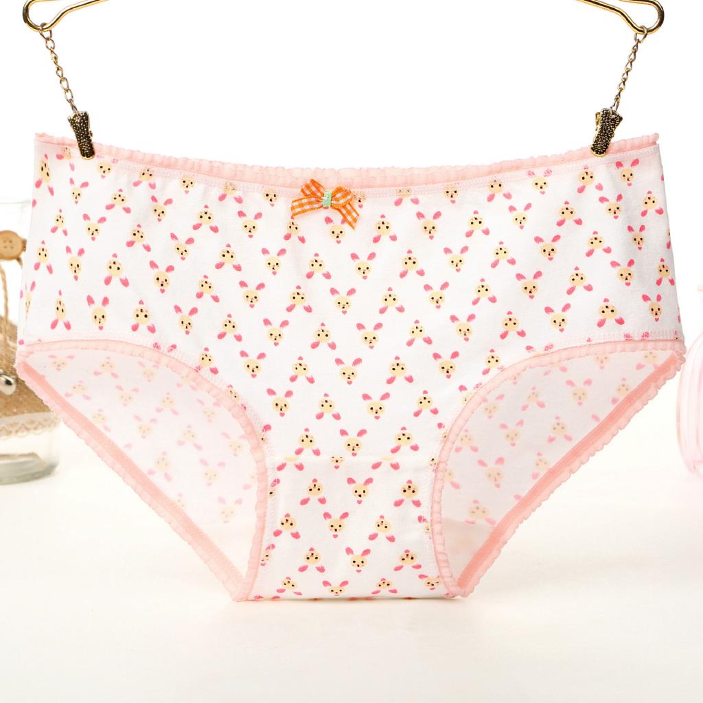 5pcs Celana Dalam Brief Mid Waist Bahan Katun Murni Gaya 5pcs Celana Dalam Brief Mid Waist Bahan Katun Murni Gaya