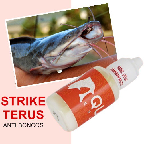 Essen Ikan Lele Lomba Galatama Aquatic Essen Anti Boncos