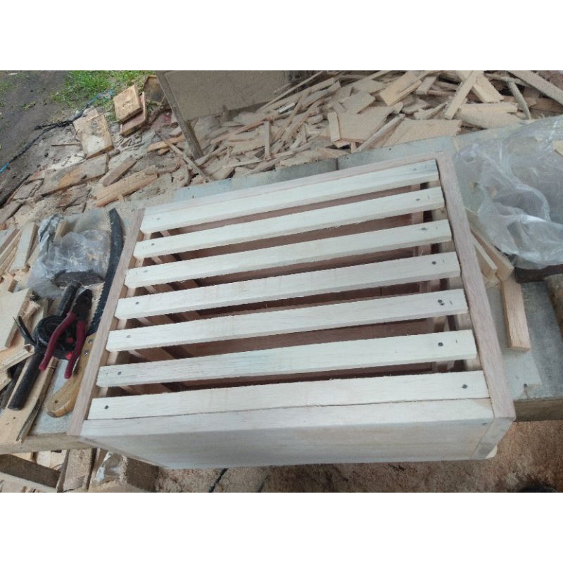 kotak budidaya lebah apis cerana