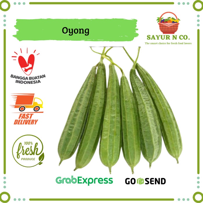 

Oyong Gambas Sayur | Sayur N Co Bekasi