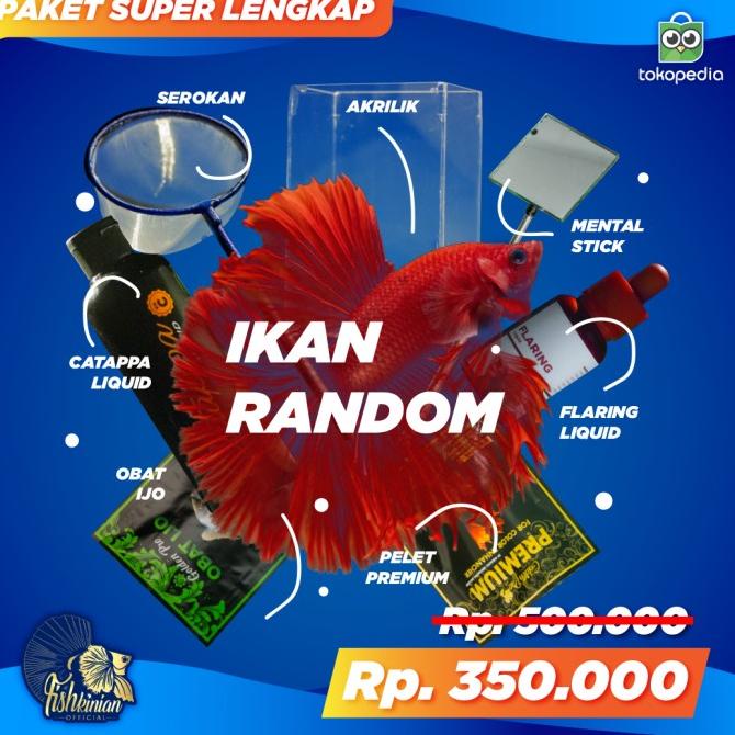 

Paket Ikan Cupang Super Lengkap