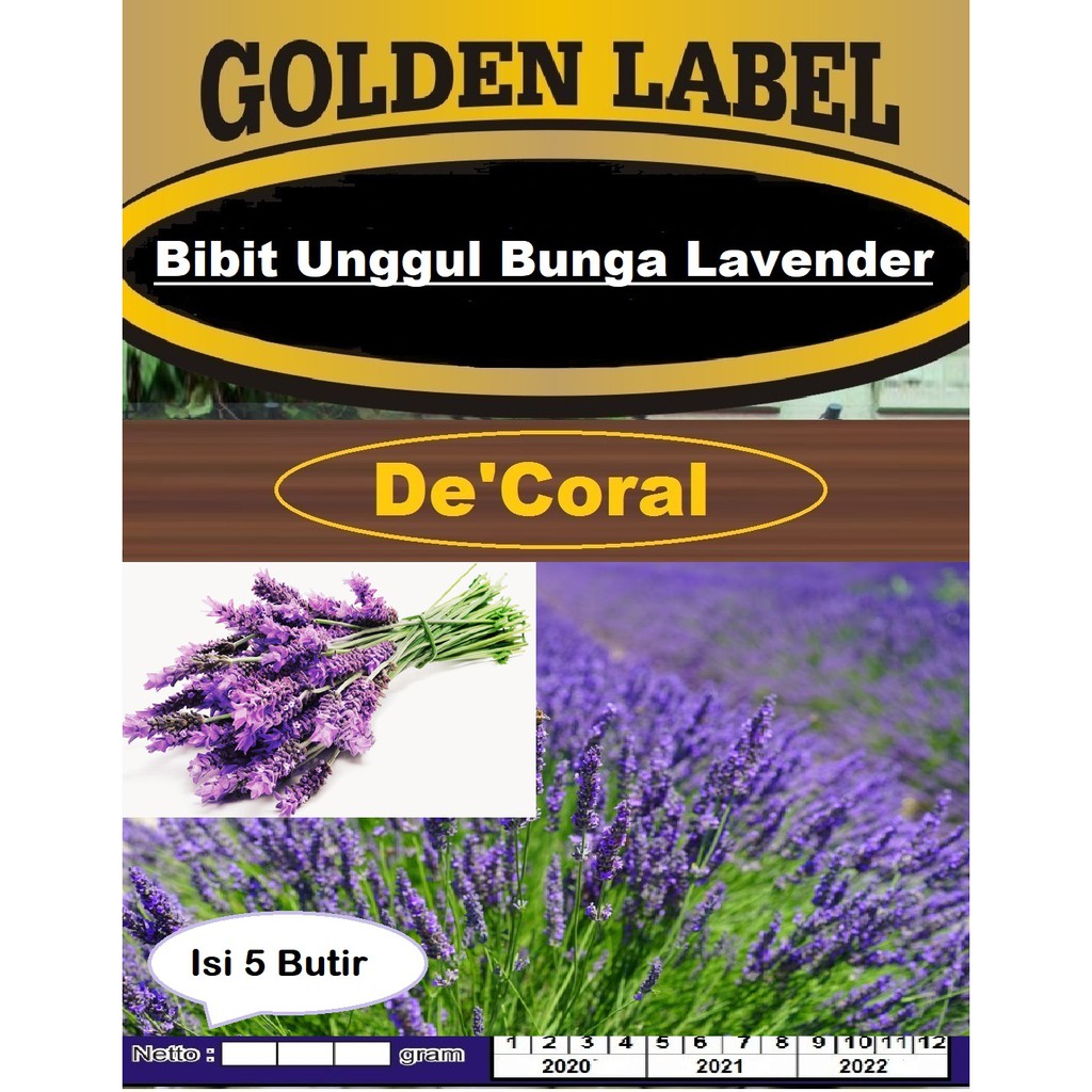 Cara Semai Lavender