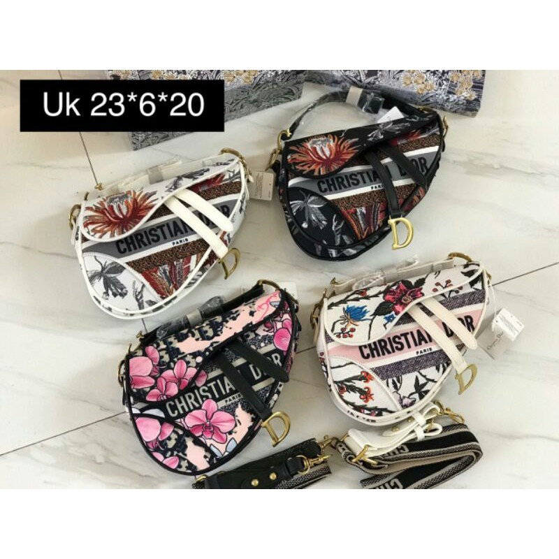Dior Saddle Kanvas